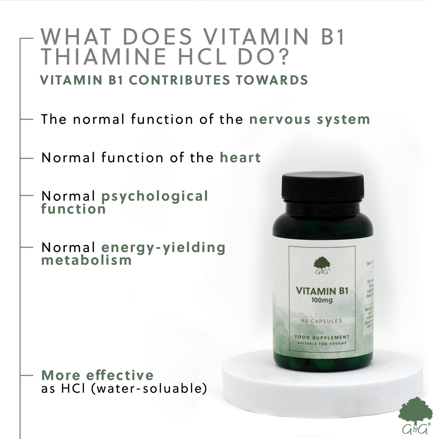 Vitamina B1 (Tiamină) 100mg - 90 capsule