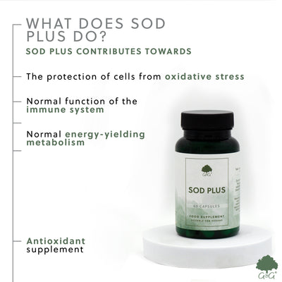 SOD Plus (Superoxid Dismutază) - 60 capsule