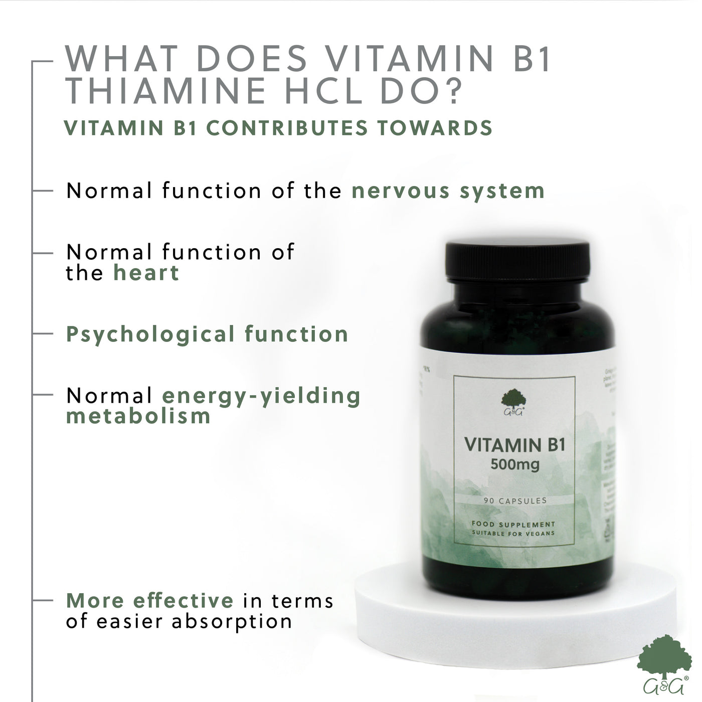 Vitamina B1 (Tiamină) 500mg - 90 capsule