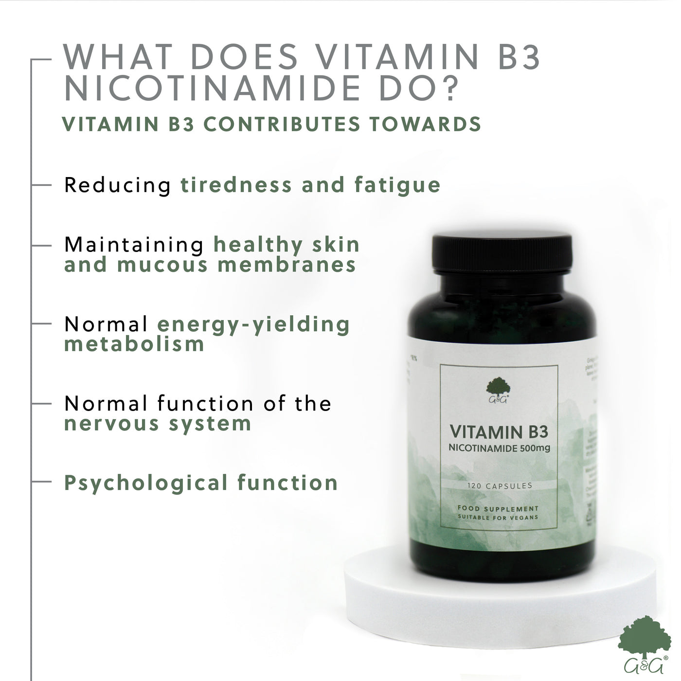 Vitamina B3 (Nicotinamidă) 500mg - 120 capsule