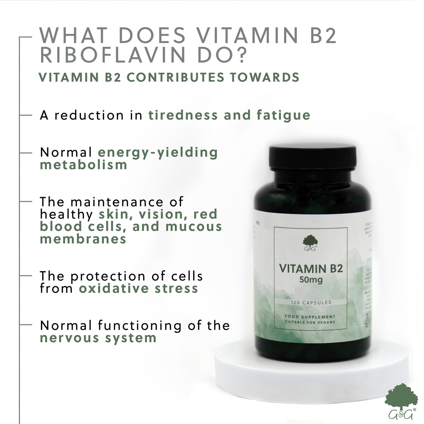 Vitamina B2 (Riboflavină) 50mg - 120 capsule
