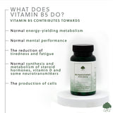 Vitamina B5 (Acid Pantotenic) 500mg - 60 capsule