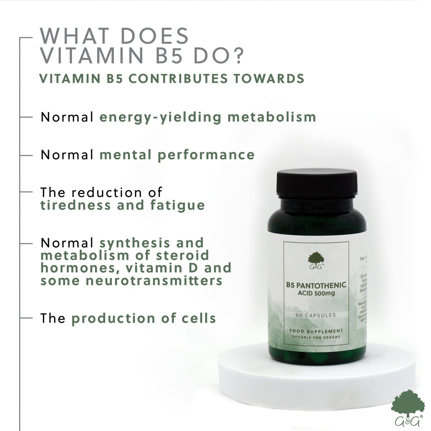 Vitamina B5 (Acid Pantotenic) 500mg - 60 capsule