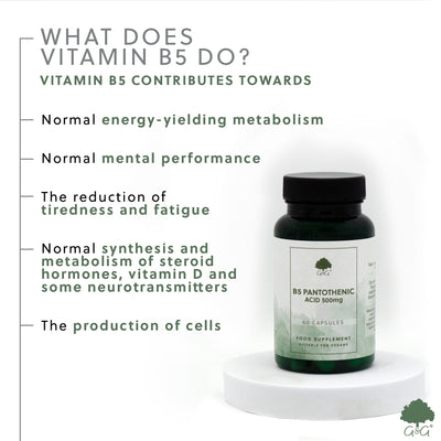 Vitamina B5 (Acid Pantotenic) 500mg - 60 capsule