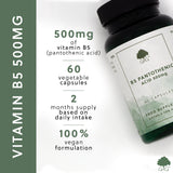 Vitamina B5 (Acid Pantotenic) 500mg - 60 capsule