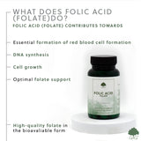 Acid Folic (5-MTHF) - 120 capsule