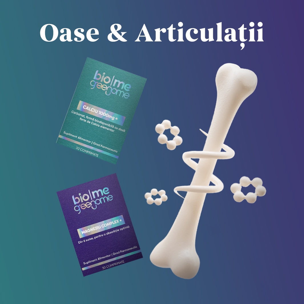 Oase & Articulații